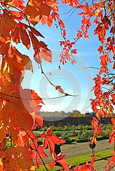 Window of autumn leaves overlooking the park and blue sky