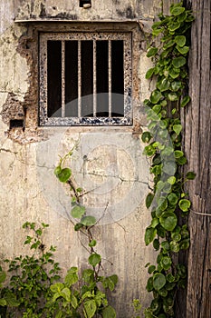 Window with bars in a derelict and ruined world war 2 gun emplacement on the Australian East coast