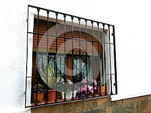 window with bars and flower pots