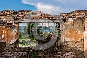 Window with bars of an old ruin house near the forest and meadow in nature