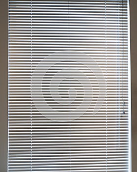 Window blinds