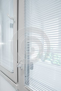 Window and blinds