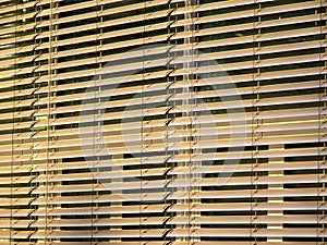 Window blinds