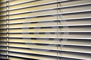 Window Blinds