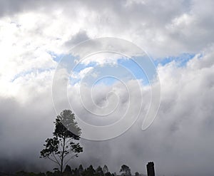 Window of blue sky through dark clouds with silhouette of tree - natural background