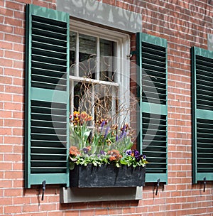 Window Box Flower Arrangement