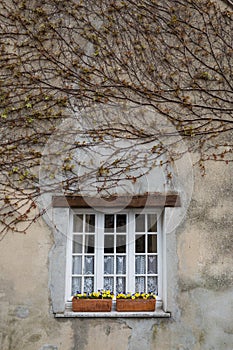 Window boxes with flowers at a typical French house