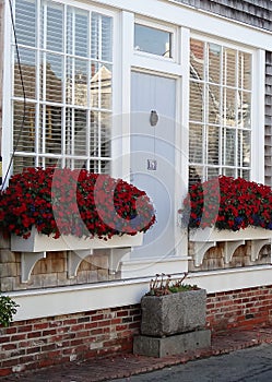 Window Boxes