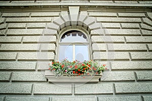 Window on the Bundeshaus