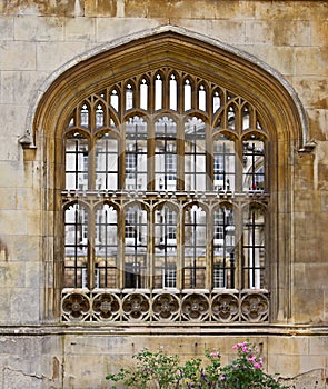 Window at Cambridge University photo