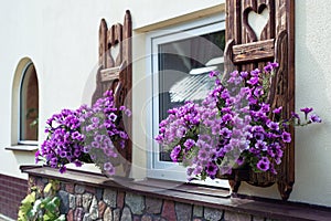 Window with carved doors and with flower pots on the facade of t