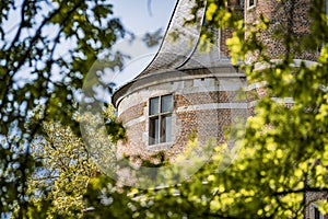 Window of castle tower through tree tops