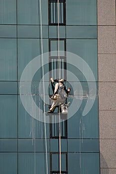 Window Cleaners