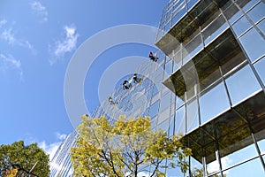 Teamwork - window cleaners at work