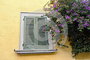 window with closed green shutters on the yellow wall. Facade, building of exterior