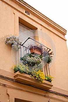 Window with colorful flowers