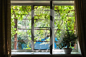 Window in cottage with house plant