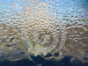 Window covered with frozen drops of condensate water