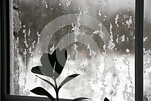 Window covered with a wet snow