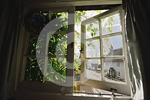 Window covered in wisteria