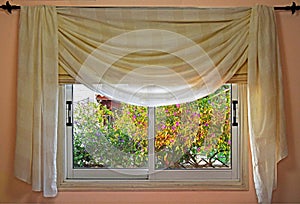 Window, Curtain And Tree. Golden Hour.