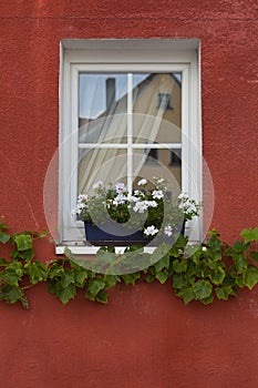 Window Decorated With Flowers