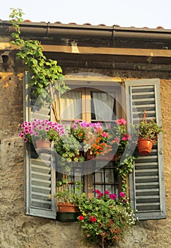 Window decorated with flowers in pot
