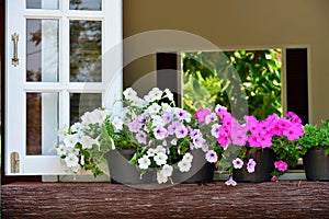 Window decorated with fresh flowers