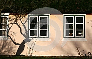 Window detail and tree shade on a wall of a house Island of Fanoe in Denmark