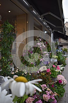 Window display of a flower shop in Normandy