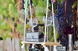 Window Display - Wine Glasses and Grape Vines