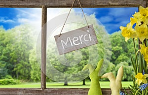 Window, Easter Bunny, Merci Means Thank You