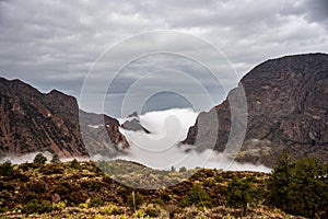 The Window Filled With Fog