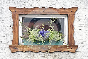 Window and Flower