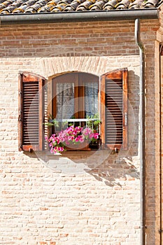Window with flower