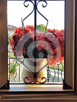 Window flower bigonia from inside