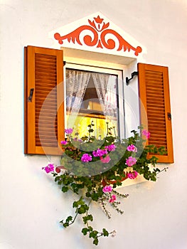 Window with Flower Box