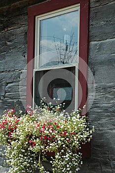 Window Flower Box