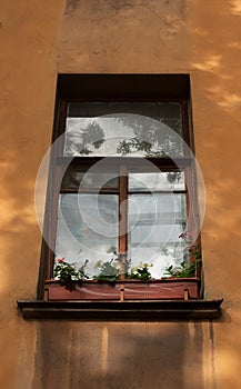 Window flower boxes on sill in old house