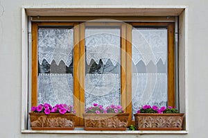 Window with Flower Boxes in Vinci, Italy