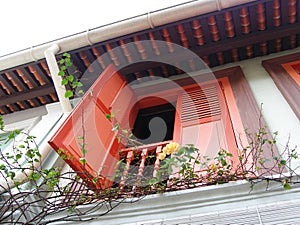 Window with flower climbers