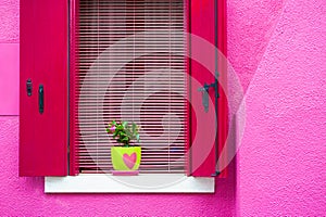 Window with flower on the pink facade of the house