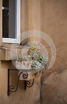 Window flower pot