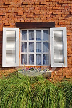 Window with flower pots