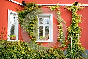 Window and flowerbox with red wall