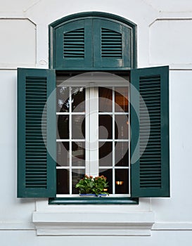 Window and flowerbox
