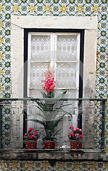 Window with flowering plants on sill in Lisbon