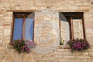 Window flowerpot