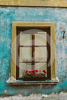 Window with a flowerpot. wall texture