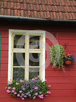 Window flowers